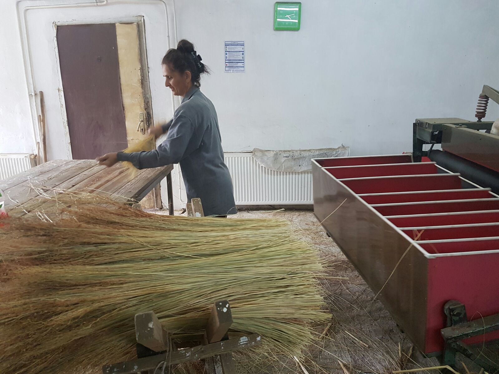 Making sorghum brooms work progress