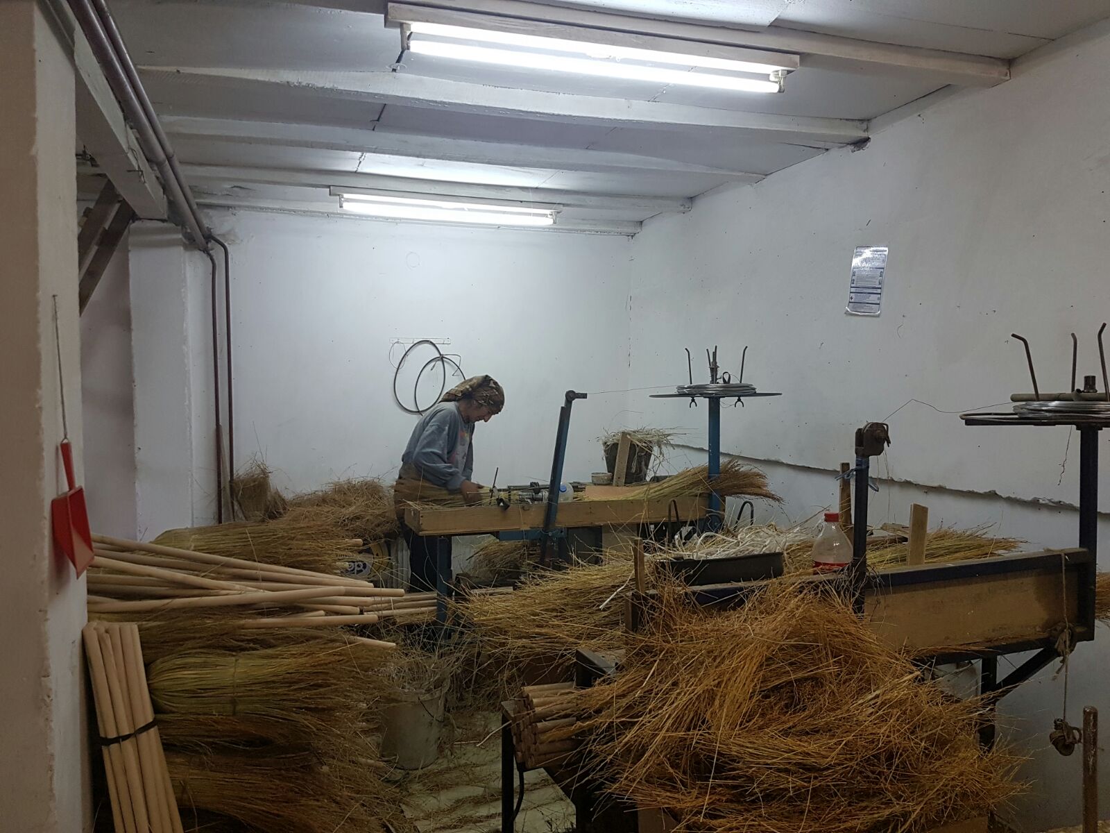 Making sorghum brooms